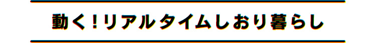 動く!リアルタイムしおり暮らし