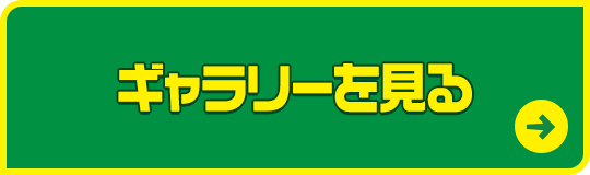 ギャラリーを見る