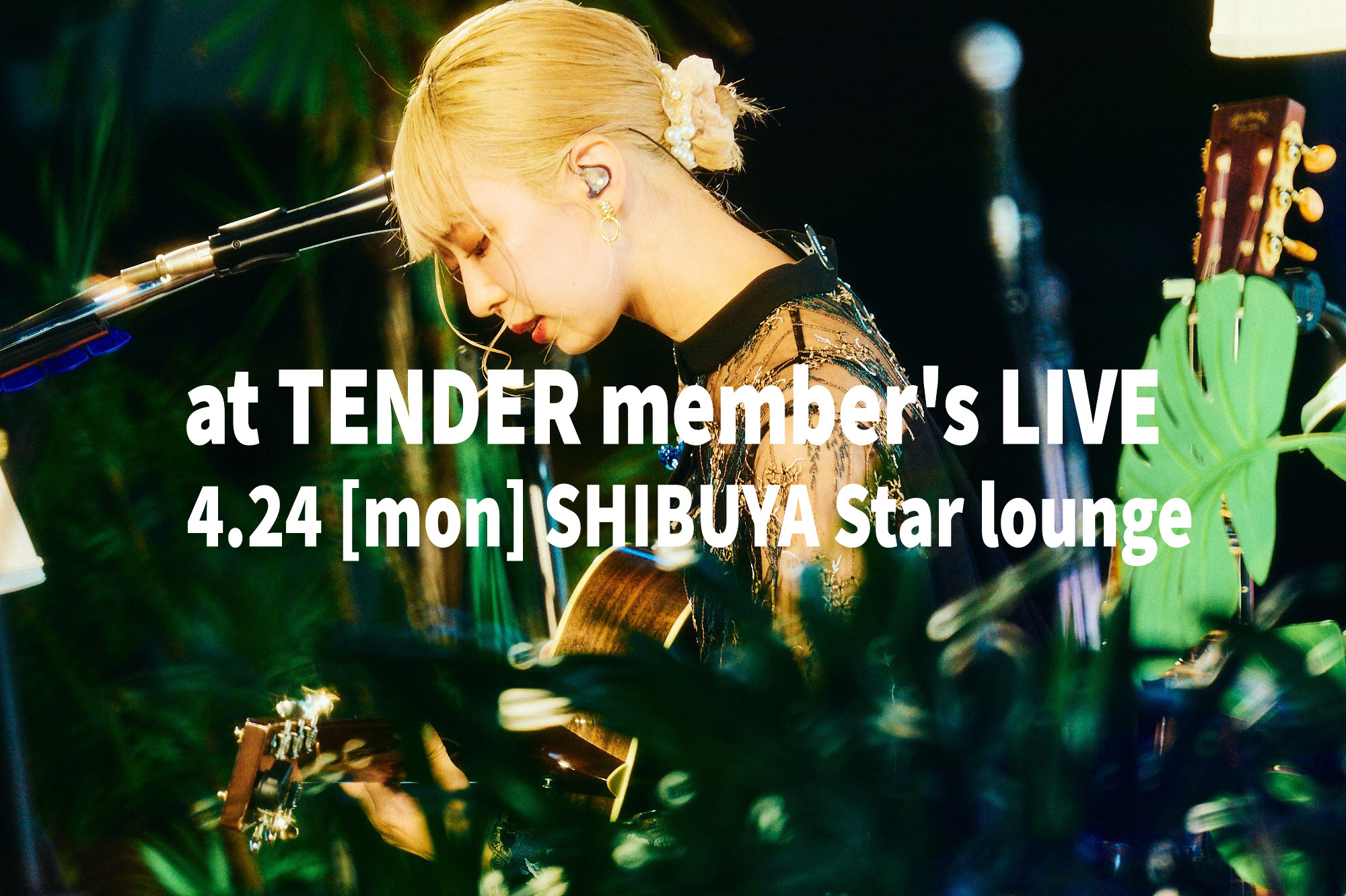 「at TENDER member's LIVE」at TENDER会員二次受付