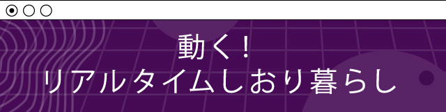 リアルタイムしおり暮らしギドベver.